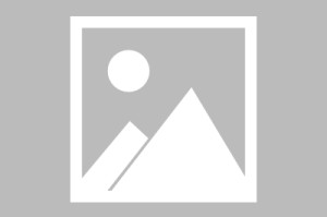 英格兰世界杯五佳球，经典瞬间与历史时刻英格兰世界杯五佳球